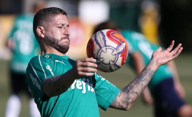 2019-03-08-08-21_capazerafaelpalmeiras