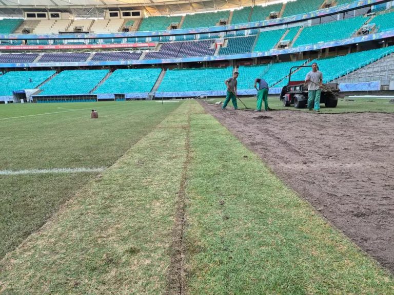 Arena Fonte Nova manutenção campo