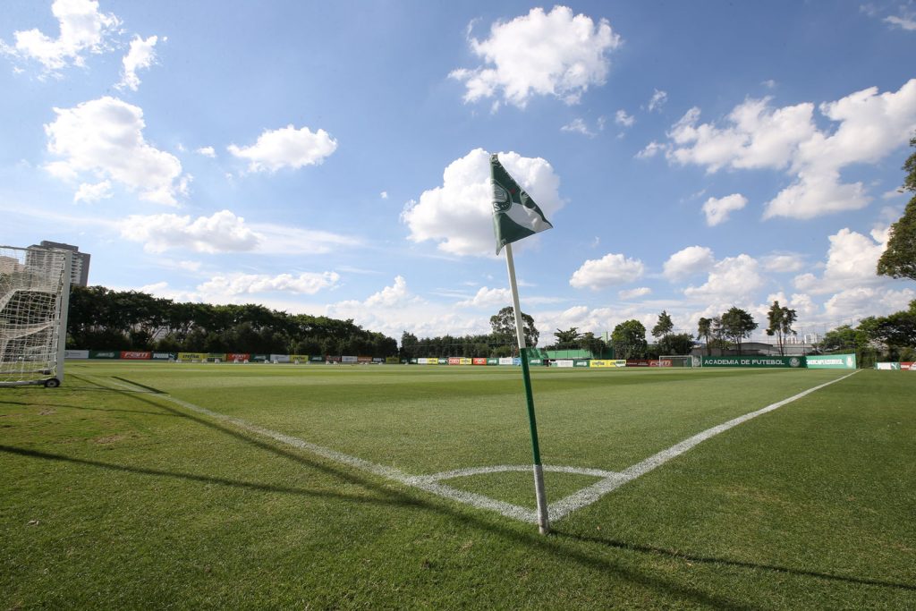 ct do palmeiras treino bahia